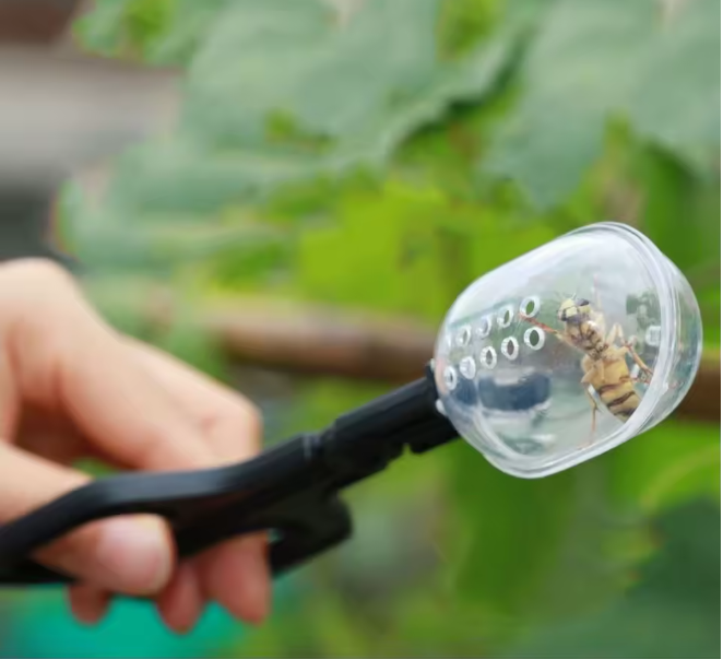 Škarje za lovljenje matic